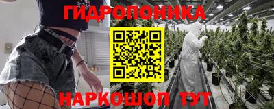 ПСИЛОЦИБИНОВЫЕ ГРИБЫ Тара