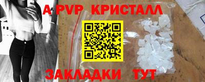 ПСИЛОЦИБИНОВЫЕ ГРИБЫ Тара