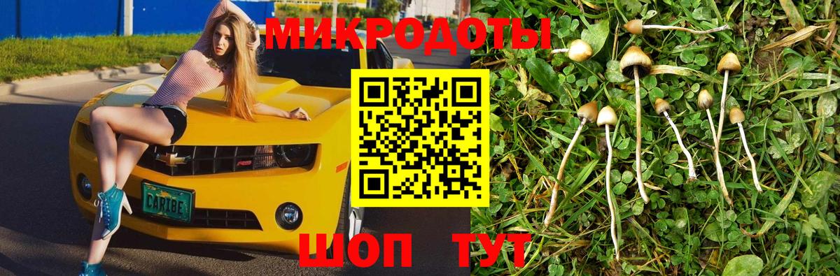 Нововоронеж  Псилоцибиновые грибы мухоморы  Вход с VPN 