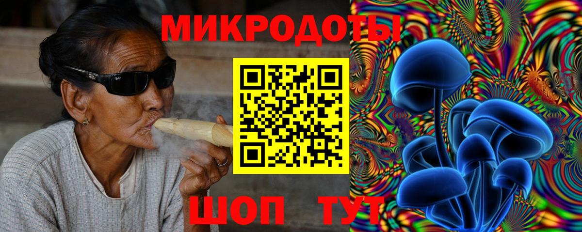 Галлюциногенные грибы Cubensis Нововоронеж